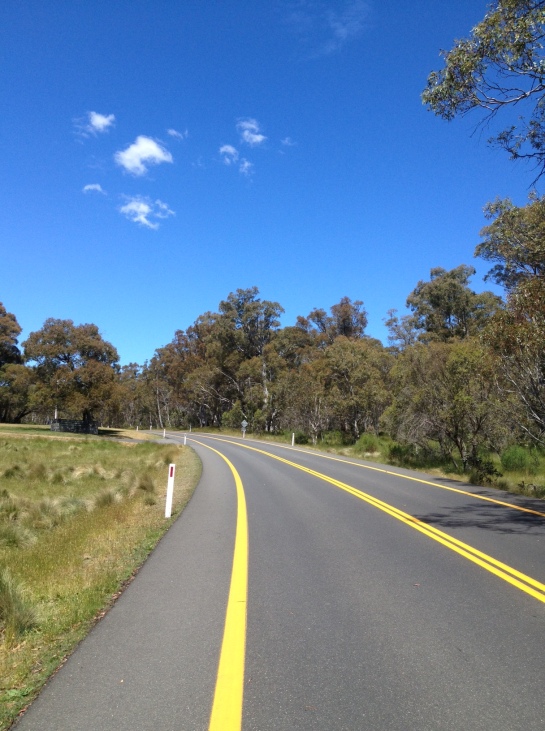 This is fairly indicative of the view for the first part. Yellow lines, nice roads and gumtrees.